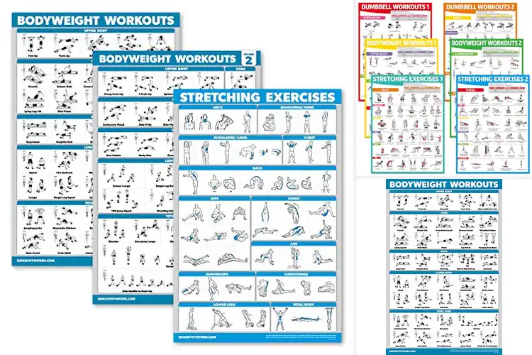 Detailed view of Best Bodyweight Exercise Posters