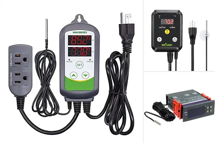 Detailed view of Best Digital Temperature Controllers