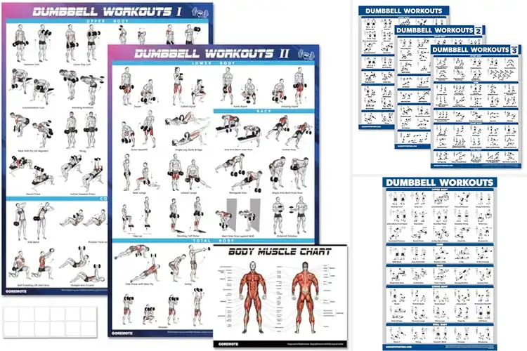 Detailed view of Best Dumbbell Workout Posters