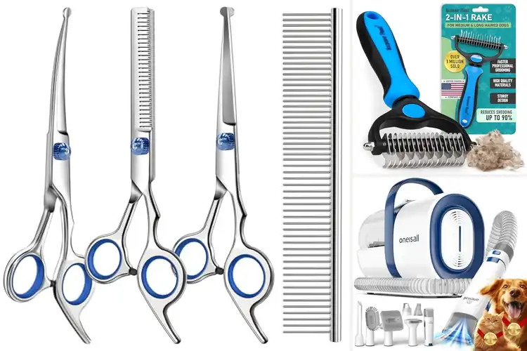 Detailed view of Best Grooming Tools: Make Pet Care Easy & Fun