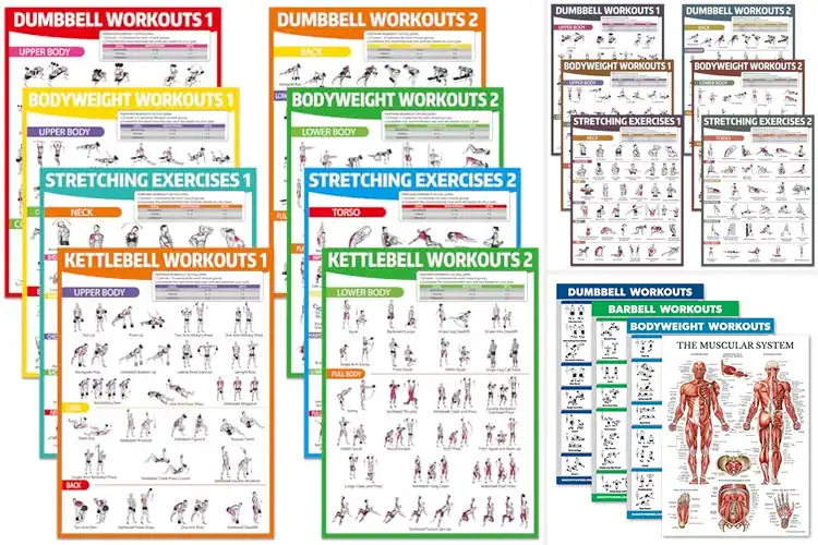 Detailed view of Best Muscle Engagement Charts