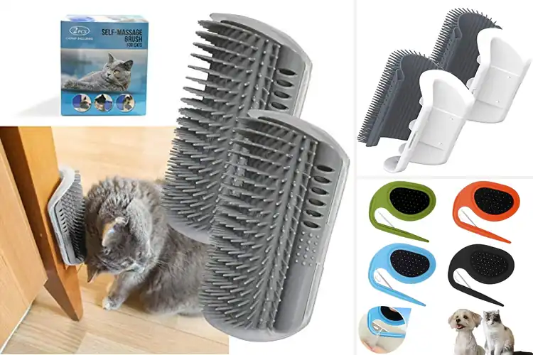 Detailed view of Best No-Scratch Groomers: Stress-Free Pet Grooming Tools