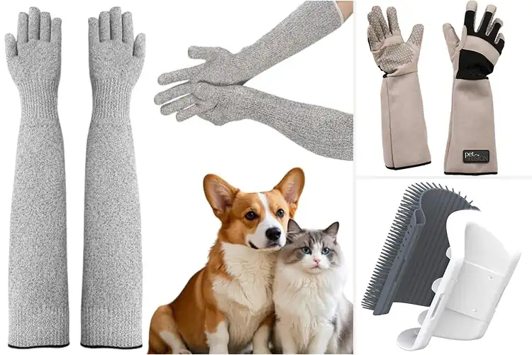 Detailed view of Best No Scratch Pet Groomers: 10 Safe & Stress-Free Picks