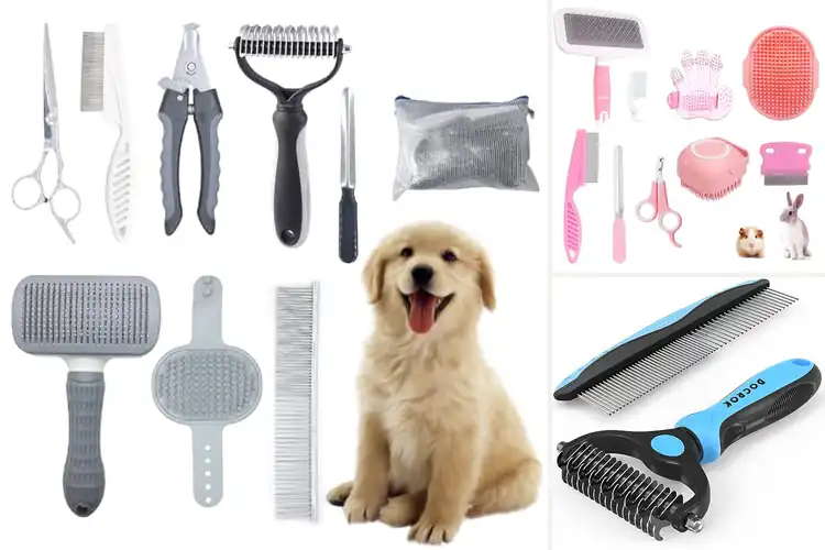 Detailed view of Best Pet Grooming Tool Sets: Top 10 Picks for Happy Pets