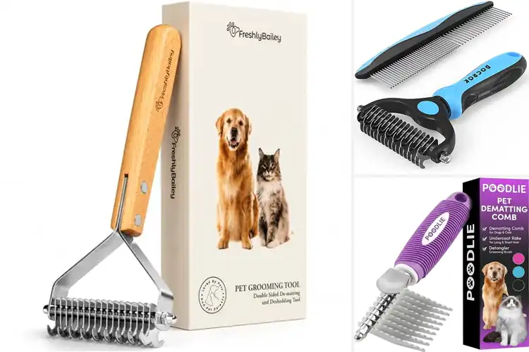Detailed view of Best Safe Dematting Tools: Top Picks for Easy Grooming
