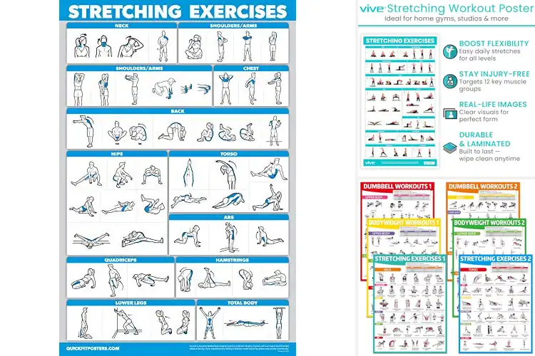 Detailed view of Best Stretching Workout Posters