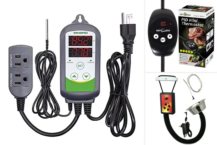 Detailed view of Best Temperature Regulators
