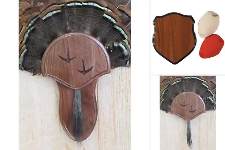 Detailed view of Best Wood Mount Kits
